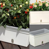 자동급수 화분 미니텃밭 플라스틱화분 집에서상추키우기