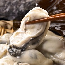 농가살리기 생굴 통영 햇 굴 1kg, 햇 생굴 1kg