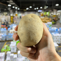 경매직송 감자 식자재용 대용량 20kg, S급, 80g이하(중)