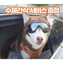 [개고글] 강아지 고글 선글라스 안경 애견 소형견 대형견 반려견고글, 흰색