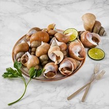 후레쉬 동해안 생물 산소포장 백고동 골뱅이 소 1kg내외 (30~50미) 양념세트포함, 단일옵션