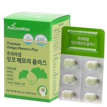 징코 은행잎추출물 뇌 기억력 혈행개선 영양제, 판매자더우주_1박스(2개월분), 1개