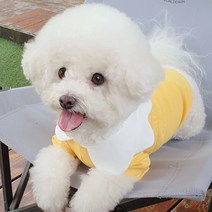 알알 순면 플라워 카라티, 옐로우