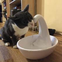 고양이 분수 전기 물 대형견기 반기 급식기, Water Dispenser