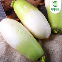 [온도씨]가락시장 무 1개, 단품