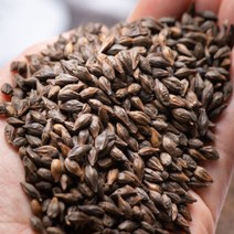 예술농부 고창 검정 보리차 300g X 3팩 보리차, 1set