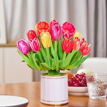팝업 입체 플라워 카드 발렌타인데이 어버이날 스승의 날 3D 인사말 봉투 수선화 꽃 꽃다발 봄 부활절 결혼 기념일 잘 잡히기