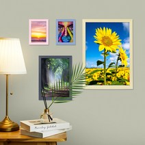 닥터프레임 액자 사진액자 인테리어액자 상장액자 3x5 4x6 5x7 6x8 8x10 10x15 11x14 A4 A3 b4 b5 8절지 16절지 액자 외 벽걸이 탁상 전사이즈, 레드