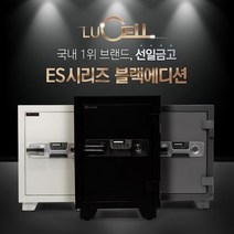 선일금고 NEW ES-035 루셀 내화금고 100kg 가정 사무 개인금고, 색상:그레이콤비