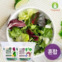 데이밀 자연을담은 샐러드 실속 혼합구성 100g 야채믹스, 7팩, 양파드레싱 7개