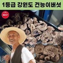 강원도 국산 자연산 건능이버섯 50g 건조 능이버섯 국내산 능이버섯 국산능이버섯 자연산능이버섯 건능이 1등급 말린, 건조능이버섯 100g, 1개