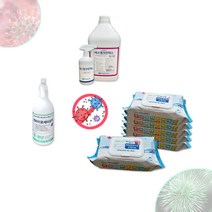 방역필수품 살균소독제 스프레이 500ml 4L 물티슈 70매 100매 차아염소산, 2. 엔바이로세이프액 500ml