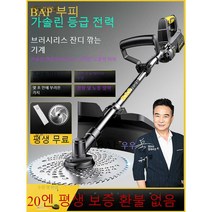엔진예초기, 가솔린급 브러시리스 고출력 배터리
