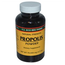 Y.S. Eco 네추럴 스트렝 프로폴리스 분말 70000Mg Aa15385 Top Brand 해외 현지 배송