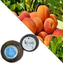 늘향 늘향 순수한 복숭아향 항아리캔들 (2737179), 1호 핑크