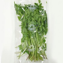 돌미나리 200g 간편채소 요리재료 가정용, TRV돌미나리200g, 1개