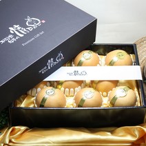 직거래농민장터 설 명절 프리미엄 고급 배 선물세트 제수용 특품, 1box, 프리미엄 배선물세트 7.5kg 7-10과
