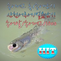 송어 에그훅 10개입 송어 알타입 웜 송어산천어 얼음낚시, 필수선택, 검정
