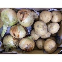 감자 양파 세트 1박스 햇감자 햇양파 2.4kg 4.4kg, 2.4kg 1박스