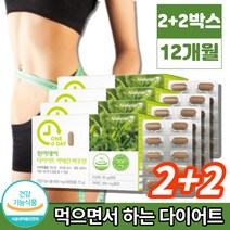 다이어트 카테킨 인도산 녹차 추출물 정 비오틴 파파인 레몬밤 모로오렌지 마테 그린 커피빈 와일드망고 풋사과 석류, 2+2박스
