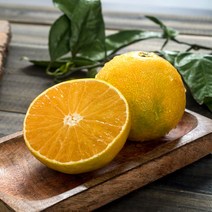 제주 황금향 가정용 선물용, 가정용 1kg 소과, 1박스