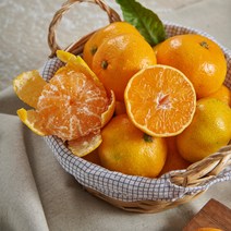 [삐삐농원] 제주 산지직송 세상에서 가장 맛있는 노지 감귤 5kg 10kg, 3. 감귤 큰 사이즈 10kg