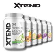 엑스텐드 BCAA 부스터 류신 1.4kg, 복숭아