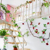 21세기트랜드 덩쿨 장미, 덩쿨 장미-레드