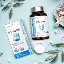 신경 근육기능유지 무기질영양제 눈밑떨림증상 산화 마그네슘 3개월분 6개월분, 마그네슘 맥스 3개월분 1EA