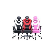 AKRACING Gaming Chair TYPE-4 게이밍게임용의자, AKRACING TYPE-3 게임용/게이밍
