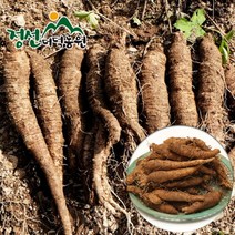브랜드없음 정선더덕농원 6년근 생더덕 1kg (중-35뿌리내외), 단품없음
