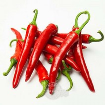 아삭고추 1kg 햇고추 풋고추 특품 홍고추 내외 땡초 모닝고추 청고추 매운고추, 단품, 단품