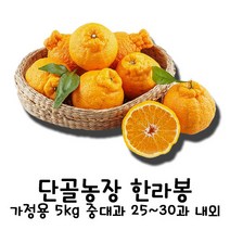[산지직송] 단골농장 한라봉 가정용 5kg 중대과 25~30과 내외 가공처리 3무 강제착색NO 강제후숙NO 왁싱NO 황금빛 당도의 제왕