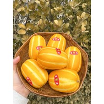 성주 꿀참외 2023년 첫출하 아삭아삭 로얄과 2kg 4kg, 로얄과 2kg(7과 내외)