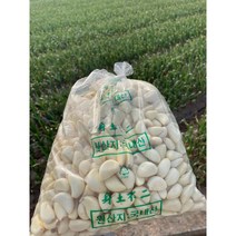 태백하늘 열무김치 국산100%/무료배송, 5kg, 1개