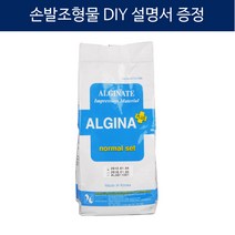 알지나 450g+설명서/알지네이트/손도장 손발조형물, 알지나 450g
