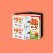 과수원 사과 주스 음료 190ml 2박스 총48개입, 190ml x 48개, 48개