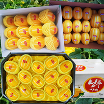 출시 성주참외 3kg 5kg 10kg 프리미엄 정품, 대과(14~18과), 1개