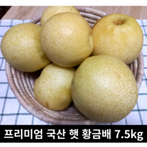 [국내산/국산] 산지직송 프리미엄 국산 햇 황금배 7.5kg 선물용 황금 배 추석선물 햇배 사과배