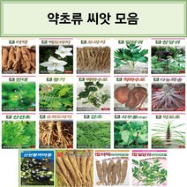 코리아팜 약초류 씨앗/더덕/백도라지/도라지/일당귀/참당귀/잔대/황기/백하수오/적하수오/와송/신선초/슈퍼도라지/감초/쇠무릎(우슬)/익모초/산천왕까마중/아시아길경도라지/아시아양유더덕, 16.다농-산천왕까마중 50립