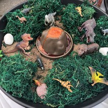 타임키즈 스몰월드 공룡 화산 폭발 놀이 화석 개구리 성장 한살이 놀이트레이 세트, 3.개구리성장