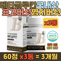 해썹 식물 효모 표고 영지 버섯 비타민 유산균 함유정 어린이 20대 30대 40대 50대 60대 70대 80대 90대 남자 여자 여성 남성 성인 부모님 어머니 아버지 활력 선물
