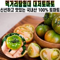 먹거리탐험대 새콤 달콤 대저 토마토 부산 특산물 고당도 단짠 토마토 2.5kg 2023년 첫 출하 다이어트 과일 추천 후기 [로코스샵 홈쇼핑], [로코스샵]대.저.토.마.토_프리미엄