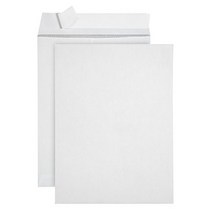 100 9 X 12 Self Seal Security Catalog Envelopes - Designed for Secure Mailing - Securely Holds up to, 1