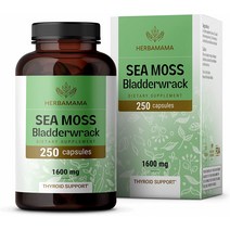 허바마마 씨모스 블래더랙 1600mg 250캡슐, 개, 250 카운트(1팩)