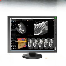 병원 스크린 모니터 판독용 진단 패널 내시경 작업용, EIZO RX240 A+