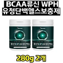 류신 프로틴 완두 유청 단백질 필수 아미노산 WPC WPH BCAA 구아검 남자 여자 벌크업 근육 회복 핵심 강화 구아검 가수분해물 마시는 아미노산 운동선수 여자 남자 20대30대40대50대60대