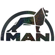 마이웨이카 만트럭 MAN 사자 로고 데칼 튜닝 홀로그램 대형 덤프 트럭 스티커, 좌측, 중형