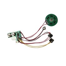 음성 녹음 모듈 사운드 도구 푸시 칩 다중 액세서리 전사 오디오 파일 저장 볼륨, 01 TYPE1