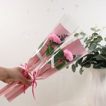 비누카네이션 꽃다발 졸업 입학 기념일 축하 꽃다발, 3)1송이 분홍 비누카네이션 꽃다발(1+1